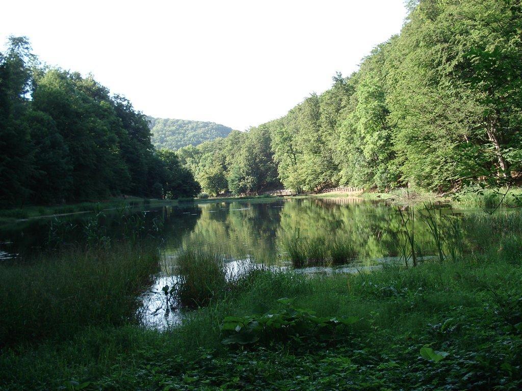 Seoski Turiziam Larva Trenkovo 외부 사진